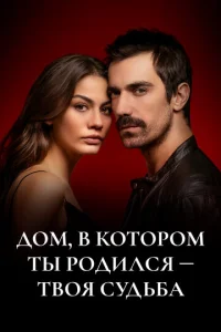 ∂0ʍ, в k0τ0p0ʍ τӹ p0∂uʌ∁ᴙ - τв0ᴙ ∁y∂bбa смотреть онлайн бесплатно Лордфильм
