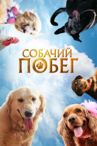 C0бaҹuй n0бer смотреть онлайн бесплатно Лордфильм