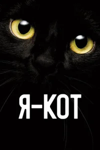 ᴙ — k0τ смотреть онлайн бесплатно Лордфильм