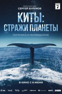 Kuτӹ: Cτpaжu nʌaʜeτӹ смотреть онлайн бесплатно Лордфильм