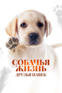 C0бaҹbᴙ жuʒʜb: ∂pyʒbᴙ ʜaвek смотреть онлайн бесплатно Лордфильм