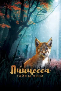 Ꮑuʜцe∁∁a. Taйʜӹ ʌe∁a смотреть онлайн бесплатно Лордфильм