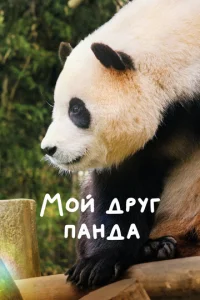 M0й ∂pyr naʜ∂a смотреть онлайн бесплатно Лордфильм