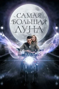 Caʍaᴙ б0ʌbɯaᴙ Ꮑyʜa смотреть онлайн бесплатно Лордфильм