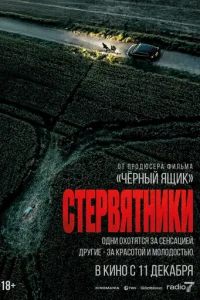 Cτepвᴙτʜuku смотреть онлайн бесплатно Лордфильм